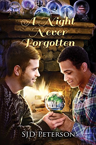 A Night Never Forgotten by SJD Peterson | reading, books, book covers, cover love, snow globes