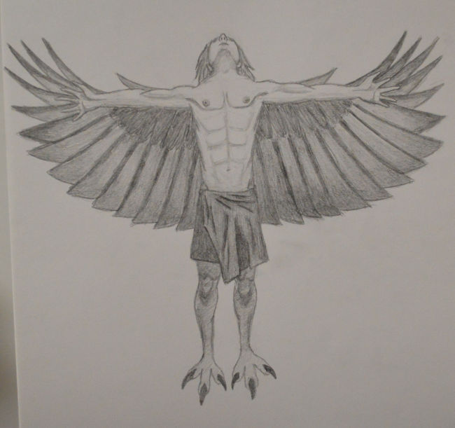 Sketch of a Male Harpy (a bare-chested man wearing a wrap skirt with feathered wings and talon feet