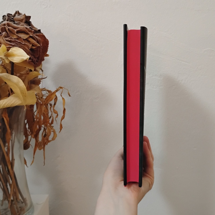 Photo of the hardcover of Killing Sadie by Rachel Peterson.