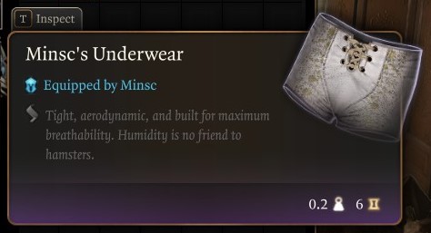 Screenshot from BG3 of Minsc's underwear (white, lace in front, similar to boxer briefs) with description: Tight, aerodynamic, and built for maximum breathability. Humidity is no friend to hamsters.